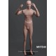 Homme debout articulé MH TE40 Tête amovible