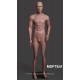 Standing Male MDP TE41 Removable head