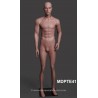 Standing Male MDP TE41 Removable head