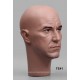 Male Mannequin Head TE41