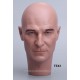 Male Mannequin Head TE43