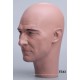 Male Mannequin Head TE43