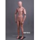 Homme debout articulé MH TE43 Tête amovible